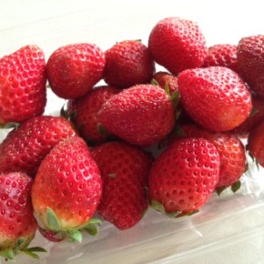 本日3/22(wed)17時、国頭村から森岡さんの朝摘みイチゴが入荷します！お取り置き承ります。☎098-943-9575