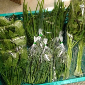 3/31(thu)本日の仕入れです。  糸満市 中村さんの自然栽培のスティックブロッコリー・セロリ・にら・島ニンニク、糸満市 金城さんの無農薬栽培のほうれん草が入荷しました！