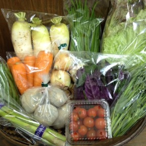 【第22回目】わが家のハルラボ商店『お野菜おまかせBOX』は本日4/13(wed)まで受付中！今回も人気の自然栽培アスパラガスが入ります。4/16(sat)発送。受付はお電話にて承ります。☎098-943-9575（詳細はコチラをクリック）写真は前回の野菜BOXです。