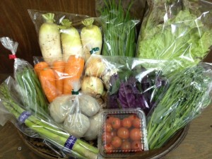160401野菜BOX