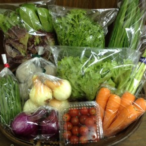 【第22回目】わが家のハルラボ商店『お野菜おまかせBOX』は先週土曜日に発送いたしました。今回の内容は自然栽培の津堅島人参・ミニトマト・春菊・ベビーリーフ・インゲン・アスパラガス・新玉ねぎ・丸レタス・にら・じゃがいも、無農薬栽培の紫玉ねぎをお送り致しました。次回受付はお電話にて承ります。☎098-943-9575（詳細はコチラをクリック）