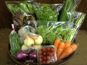 160416野菜BOX