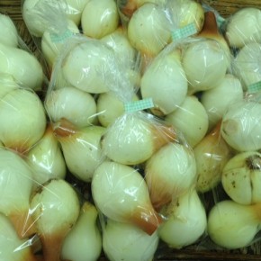 5/6(fri)本日の仕入れです。  うるま市 玉城勉さんの自然栽培の新玉ねぎが入荷しました！