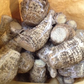 5/11(wed)宜野湾市大山 サンキューファームさんから自然栽培の田芋が入荷しました！炊きたてなのでフンワリ美味しそうな香りがしています。皮付きのまま素揚げで是非！