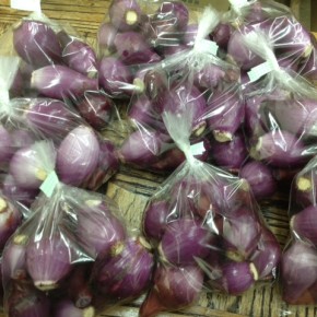 5/23(mon)本日の仕入れです。  うるま市 玉城勉さんの自然栽培の赤玉ねぎが入荷しました！