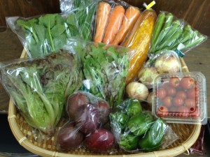 160528野菜BOX