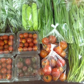5/30(mon)本日の仕入れです。  北中城村ソルファコミュニティさんの自然栽培のミニトマト・エンサイ・よもぎ・にら・うりずん豆・トスカーナバイオレット（トマト）が入荷しました！