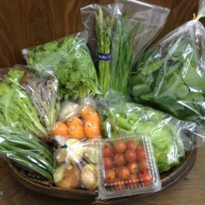 【第23回目】わが家のハルラボ商店『お野菜おまかせBOX』は先週土曜日に発送いたしました。今回の内容は自然栽培の津堅島人参・じゃがいも・玉ねぎ・アスパラガス・インゲン・レタス・にら・ミニトマト・ベビーリーフ・春菊、無農薬栽培の雲南百薬をお送り致しました。次回受付はお電話にて承ります。☎098-943-9575（詳細はコチラをクリック）