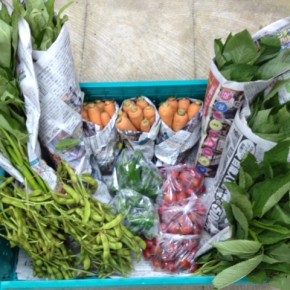 6/6(mon)本日の入荷です。  今帰仁村 片岡農園さんの無農薬栽培のピーマン・人参・枝豆・ミニトマト・モロヘイヤ・ウンチェバーが入荷しました。
