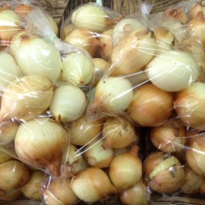 6/13(mon)本日の仕入れです。  うるま市 玉城勉さんの自然栽培の玉ねぎが入荷しました！