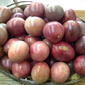 6/16(thu)本日の仕入れです。  八重瀬町 白川ファームさんの無農薬栽培のパッションフルーツが再入荷しました！