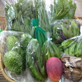 【第29回目】わが家のハルラボ商店『お野菜おまかせBOX』は先週土曜日に発送いたしました。今回の内容は自然栽培のピーマン・モロヘイヤ・角オクラ・ハンダマ・にら・アバシゴーヤー・ツルムラサキ・丸オクラ、無農薬栽培のきゅうり・生しいたけ、減農薬アップルマンゴーをお送り致しました。次回受付はお電話にて承ります。☎098-943-9575（詳細はコチラをクリック）