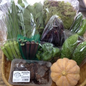 【第31回目】わが家のハルラボ商店『お野菜おまかせBOX』は本日8/17(wed)まで受付中！8/20(sat)発送。受付はお電話にて承ります。☎098-943-9575（詳細はコチラをクリック）※写真は前回の野菜BOXです。