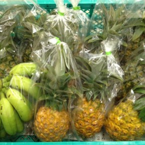 8/16(tue)本日の仕入れです。  白川ファームさんの大宜味村産 無農薬栽培のパイナップルが入荷しました！