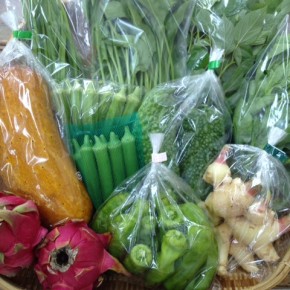 【第31回目】わが家のハルラボ商店『お野菜おまかせBOX』は先週土曜日に発送いたしました。今回の内容は自然栽培のモーウィ・ピーマン・モロヘイヤ・角オクラ・にら・アバシゴーヤー・山ほうれん草・ツルムラサキ・丸オクラ、無農薬栽培の新生姜・ドラゴンフルーツ、をお送り致しました。次回受付もお電話にて承ります。☎098-943-9575（詳細はコチラをクリック）