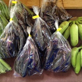 8/22(mon)本日の仕入れです。  うるま市 玉城勉さんの自然栽培のナス・丸オクラ・島バナナ、が入荷しました！