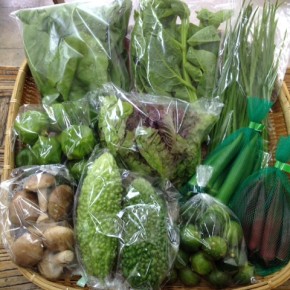【第32回目】わが家のハルラボ商店『お野菜おまかせBOX』は先週土曜日に発送いたしました。今回の内容は自然栽培のアバシゴーヤー・山ほうれん草・サニーレタス・ツルムラサキ・丸オクラ・赤オクラ・ピーマン・にら・冬瓜(no photo)・シークワーサー、無農薬栽培の生しいたけ、をお送り致しました。次回受付はお電話にて承ります。☎098-943-9575（詳細はコチラをクリック）