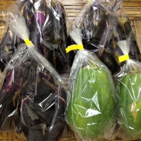 9/9(fri)本日の仕入れです。  うるま市 玉城勉さんの自然栽培のナス・パパイヤが入荷しました！