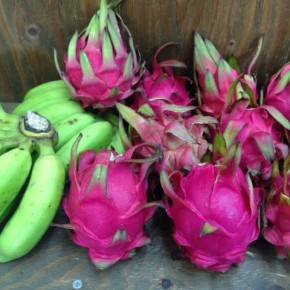 八重瀬町 白川ファームさんの無農薬栽培のドラゴンフルーツ（赤）と島バナナが入荷しました！