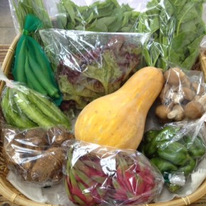 【第33回目】わが家のハルラボ商店『お野菜おまかせBOX』は先週土曜日に発送いたしました。今回の内容は自然栽培のサニーレタス・ツルムラサキ・丸オクラ・ピーマン・うりずん豆・モロヘイヤ・にら、  無農薬栽培の里芋・島かぼちゃ・生しいたけ・ドラゴンフルーツ、をお送り致しました。次回受付はお電話にて承ります。☎098-943-9575（詳細はコチラをクリック）