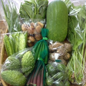 【第35回目】わが家のハルラボ商店『お野菜おまかせBOX』は本日10/12(wed)まで受付中！10/15(sat)発送。受付はお電話にて承ります。☎098-943-9575（詳細はコチラをクリック）※写真は前回の野菜BOXです。