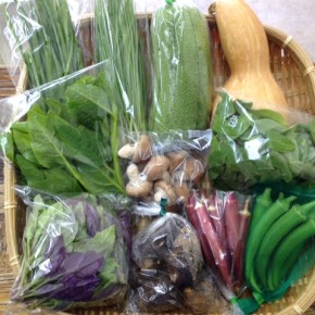 【第36回目】わが家のハルラボ商店『お野菜おまかせBOX』は本日10/26(wed)まで受付中！10/29(sat)発送。受付はお電話にて承ります。☎098-943-9575（詳細はコチラをクリック）※写真は前回の野菜BOXです。