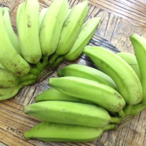 10/21(fri)本日の仕入れです。  うるま市 玉城勉さんの自然栽培の島バナナ、が入荷しました。今シーズンは台風の影響が少なくバナナ好きには良いシーズン♫