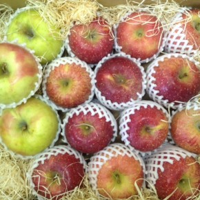 ご好評いただいている山口県産 低農薬りんごが再入荷しました！今回は「ふじ」「ぐんま名月」。どちらもしっかり甘味が乗っています。
