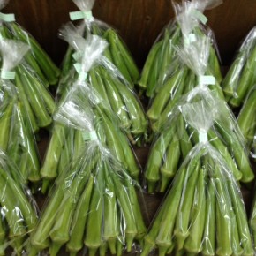 11/11(fri)本日の仕入れです。  うるま市 玉城勉さんの自然栽培の丸オクラが入荷しました。