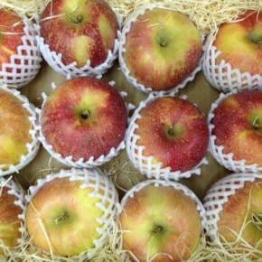 大好評の山口県産 低農薬りんご「ふじ」が大玉で再入荷しました！甘さと酸味のバランスが最高です。次回の入荷は来月中旬の予定です。