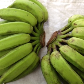 久しぶりに、うるま市 玉城勉さんの自然栽培の島バナナが入荷しました！