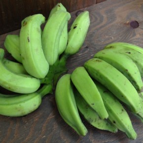 12/9(fri)本日の仕入れです。  今シーズン最後！うるま市 玉城勉さんの自然栽培の島バナナ、が入荷しました。