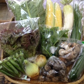 【第40回目】わが家のハルラボ商店『お野菜おまかせBOX』は本日12/21(wed)まで受付！12/23(fri)発送。受付はお電話にて承ります。☎098-943-9575（詳細はコチラをクリック）※写真は前回の野菜BOXです。
