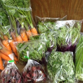 12/19(mon)本日の仕入れです。  北中城村ソルファコミュニティさんの自然栽培の人参・ニラ・赤水菜・ローゼル・よもぎ、が入荷しました。