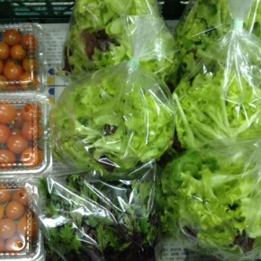 1/20(fri)本日の仕入れです。  北中城村ソルファコミュニティさんの自然栽培のミニトマト・ベビーリーフ・赤水菜、が入荷しました。