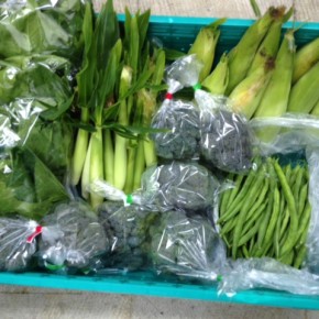 1/24(tue)本日の仕入れです。  八重瀬町 島袋悟さんの自然栽培のブロッコリー・とうもろこし・ベビーコーン・ほうれん草・いんげん、が入荷しました！