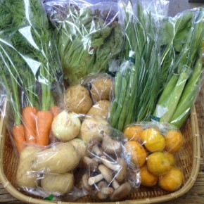 【第42回目】わが家のハルラボ商店『お野菜おまかせBOX』は先週土曜日に発送いたしました。今回の内容は自然栽培の新ジャガイモ（アローワ）・新玉ねぎ・サニーレタス・インゲン・ほうれん草・ベビーコーン・人参・にら・完熟シークワーサー、  無農薬栽培の新ジャガイモ（出島）・生しいたけ、をお送り致しました。次回受付は2/6(mon)～お電話にて承ります。☎098-943-9575（詳細はコチラをクリック）