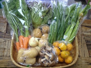170128野菜BOX