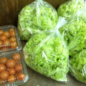2/3(fri)本日の仕入れです。  北中城村ソルファコミュニティさんの自然栽培のミニトマト・ベビーリーフ、が入荷しました。