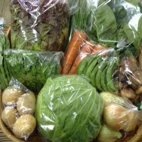 【第43回目】わが家のハルラボ商店『お野菜おまかせBOX』は先週金曜日に発送いたしました。今回の内容は自然栽培の新ジャガイモ（アローワ）・新玉ねぎ・ほうれん草・にら・春菊・人参・インゲン・サニーレタス、無農薬栽培のキャベツ・スナップエンドウ・生しいたけ、をお送り致しました。次回受付は2/20(mon)～お電話にて承ります。☎098-943-9575（詳細はコチラをクリック）
