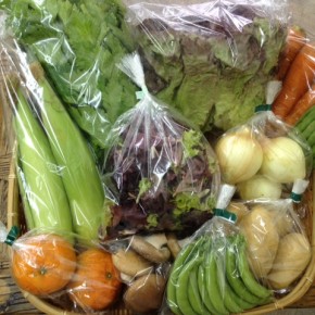 【第45回目】わが家のハルラボ商店『お野菜おまかせBOX』は本日3/8(wed)まで受付中！3/11(sat)発送。受付はお電話にて承ります。☎098-943-9575（詳細はコチラをクリック）※写真は前回の野菜BOXです。