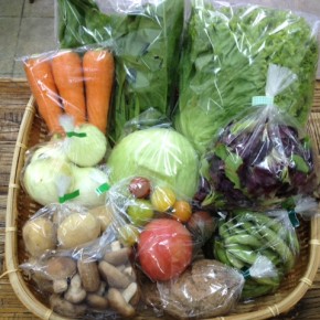 【第47回目】わが家のハルラボ商店『お野菜おまかせBOX』は本日4/5(wed)まで受付中！4/8(sat)発送。受付はお電話にて承ります。☎098-943-9575（詳細はコチラをクリック）※写真は前回のBOXです。