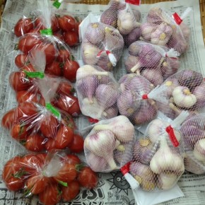 3/24(fri)今シーズン初入荷です！  うるま市 玉城勉さんの自然栽培のミニトマト（アイコ）、食欲をそそる良い香りの島ニンニク、が入荷しました！！
