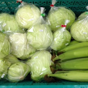 4/13(thu)本日の仕入れです。  八重瀬町 島袋悟さんの自然栽培のきゃべつ・トウモロコシ、が入荷しました！