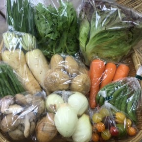 【第49回目】わが家のハルラボ商店『お野菜おまかせBOX』は本日5/8(mon)より9(tue)10(wed)予約受付中！5/13(sat)発送。受付はお電話にて承ります。☎098-943-9575（詳細はコチラをクリック・写真は前回の野菜BOXです。）