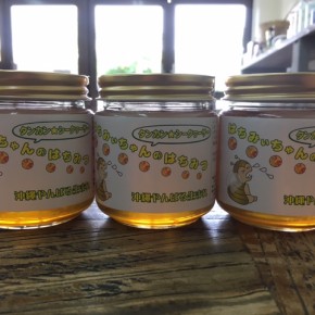 名護 オーシッタイから、タンカンとシークワーサーの蜂蜜が到着！昨年は収穫が出来なかったため久しぶりの入荷です。柑橘系の花蜜なのでサッパリした味。これからの季節にピッタリな蜂蜜です。