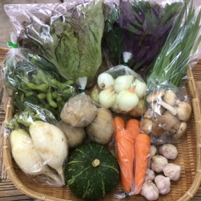 【第49回目】わが家のハルラボ商店『お野菜おまかせBOX』は先週土曜日に発送いたしました。今回の内容は自然栽培のじゃがいも（キタアカリ）・鈴カボチャ・枝豆・サニーレタス・にら・島ニンニク・津堅島人参・新玉ねぎ・大根、  無農薬栽培のハンダマ・生しいたけ、をお送り致しました。次回受付は5/22(mon)～お電話にて承ります。☎098-943-9575（詳細はコチラをクリック）
