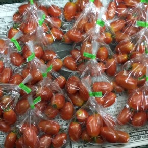 6/23(fri)本日の仕入れです。  うるま市 玉城勉さんの自然栽培のミニトマト、が入荷しました！