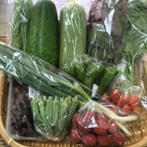 【第53回目】わが家のハルラボ商店『お野菜おまかせBOX』は本日7/3(mon)4(tue)5(wed)予約受付中！7/8(sat)発送。受付はお電話にて承ります。☎098-943-9575（詳細はコチラをクリック）
