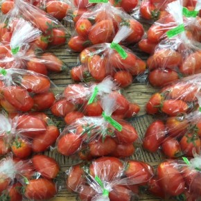 6/26(mon)本日の仕入れです。  うるま市 玉城勉さんの自然栽培のミニトマト、が入荷しました！
